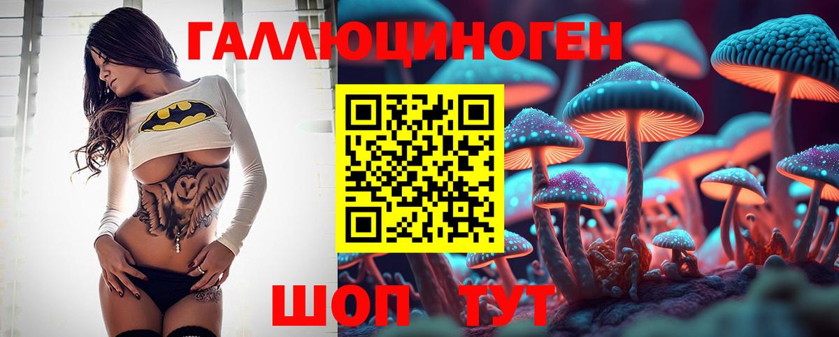 Тула  Галлюциногенные грибы MAGIC MUSHROOMS  Вход с VPN 